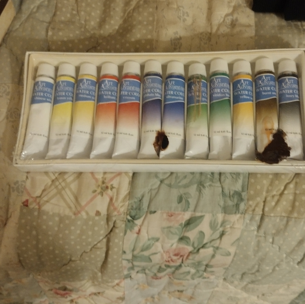 Watercolor Paint Set - 12 Vibrant Colors